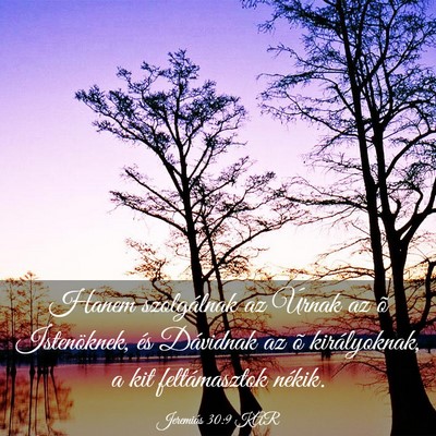 Picture 03 - Jeremiás 30:9 KAR - Hanem szolgálnak az Úrnak az õ Istenöknek, - Bible Verse Picture