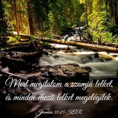 Picture 03 - Jeremiás 31:25 KAR - Mert megitatom a szomjú lelket, és minden - Bible Verse Picture