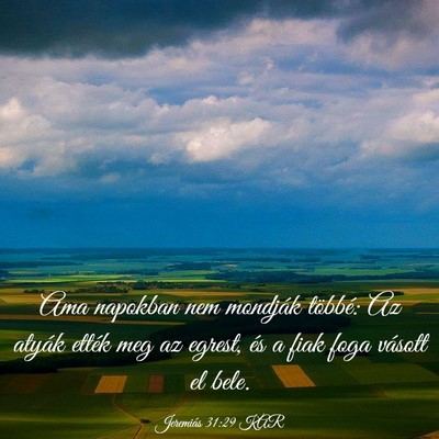 Picture 03 - Jeremiás 31:29 KAR - Ama napokban nem mondják többé: Az atyák - Bible Verse Picture