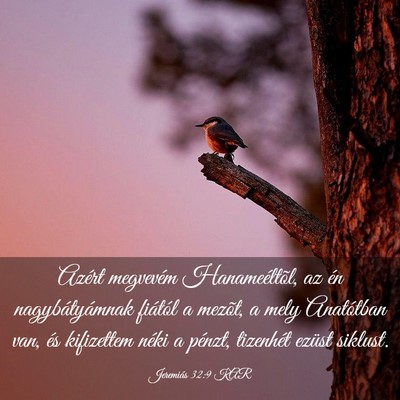 Picture 03 - Jeremiás 32:9 KAR - Azért megvevém Hanameéltõl, az én - Bible Verse Picture