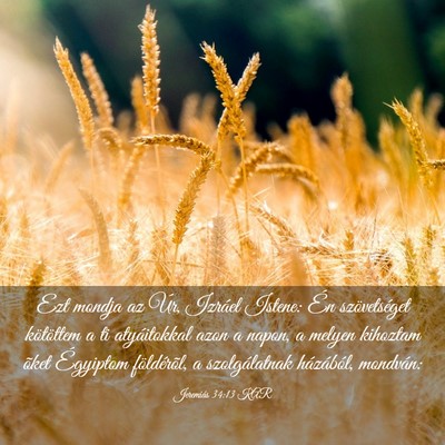Picture 03 - Jeremiás 34:13 KAR - Ezt mondja az Úr, Izráel Istene: Én - Bible Verse Picture