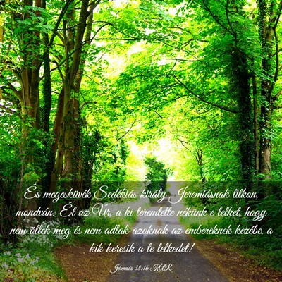 Picture 03 - Jeremiás 38:16 KAR - És megesküvék Sedékiás király Jeremiásnak - Bible Verse Picture