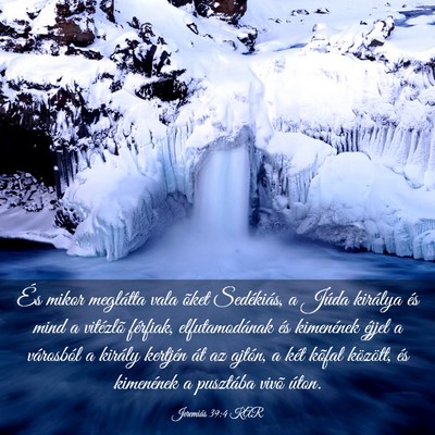 Picture 03 - Jeremiás 39:4 KAR - És mikor meglátta vala õket Sedékiás, a - Bible Verse Picture