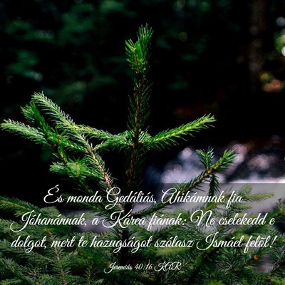 Picture 03 - Jeremiás 40:16 KAR - És monda Gedáliás, Ahikámnak fia - Bible Verse Picture
