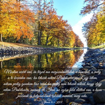 Picture 03 - Jeremiás 40:4 KAR - Mostan azért ímé, én téged ma - Bible Verse Picture