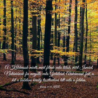 Picture 03 - Jeremiás 41:18 KAR - A Káldeusok miatt, mert félnek vala tõlök, - Bible Verse Picture