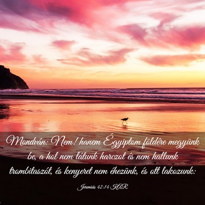 Picture 03 - Jeremiás 42:14 KAR - Mondván: Nem! hanem Égyiptom földére megyünk - Bible Verse Picture