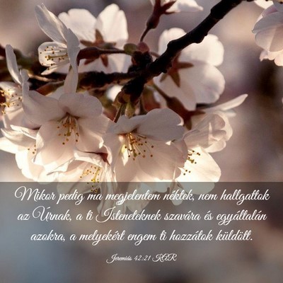 Picture 03 - Jeremiás 42:21 KAR - Mikor pedig ma megjelentem néktek, nem - Bible Verse Picture
