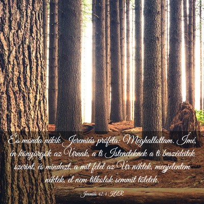 Picture 03 - Jeremiás 42:4 KAR - És monda nékik Jeremiás próféta: - Bible Verse Picture