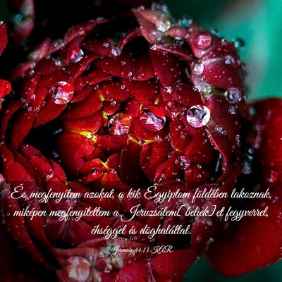 Picture 03 - Jeremiás 44:13 KAR - És megfenyítem azokat, a kik Égyiptom - Bible Verse Picture