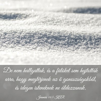 Picture 03 - Jeremiás 44:5 KAR - De nem hallgattak, és a fülöket sem hajtották - Bible Verse Picture