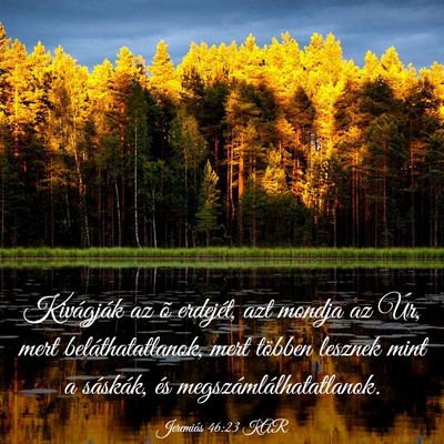 Picture 03 - Jeremiás 46:23 KAR - Kivágják az õ erdejét, azt mondja az Úr, - Bible Verse Picture