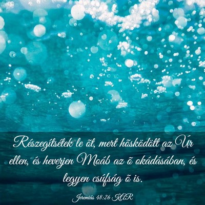 Picture 03 - Jeremiás 48:26 KAR - Részegítsétek le õt, mert hõsködött az Úr - Bible Verse Picture