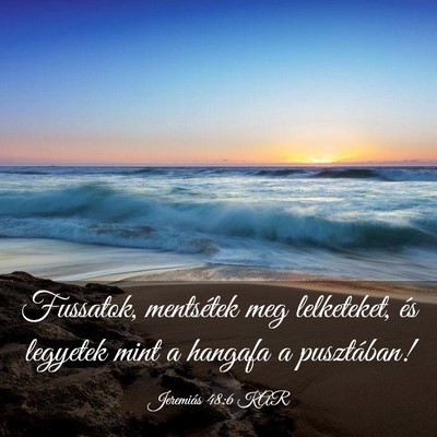 Picture 03 - Jeremiás 48:6 KAR - Fussatok, mentsétek meg lelketeket, és legyetek - Bible Verse Picture
