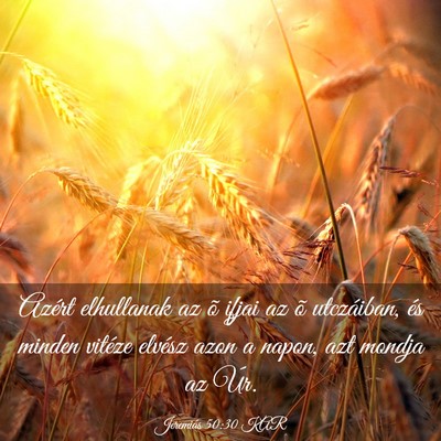 Picture 03 - Jeremiás 50:30 KAR - Azért elhullanak az õ ifjai az õ utczáiban, - Bible Verse Picture