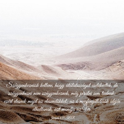 Picture 03 - Jeremiás 6:15 KAR - Szégyenkezniök kellene, hogy útálatosságot - Bible Verse Picture
