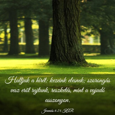 Picture 03 - Jeremiás 6:24 KAR - Halljuk a hírét: kezeink elesnek; szorongás - Bible Verse Picture