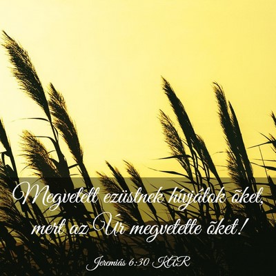 Picture 03 - Jeremiás 6:30 KAR - Megvetett ezüstnek hívjátok õket, mert az Úr - Bible Verse Picture