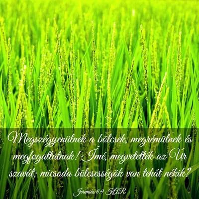 Picture 03 - Jeremiás 8:9 KAR - Megszégyenülnek a bölcsek, megrémülnek és - Bible Verse Picture