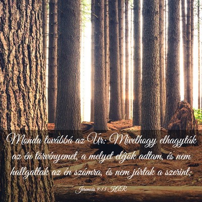 Picture 03 - Jeremiás 9:13 KAR - Monda továbbá az Úr: Mivelhogy elhagyták az - Bible Verse Picture