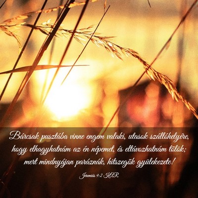 Picture 03 - Jeremiás 9:2 KAR - Bárcsak pusztába vinne engem valaki, utasok - Bible Verse Picture