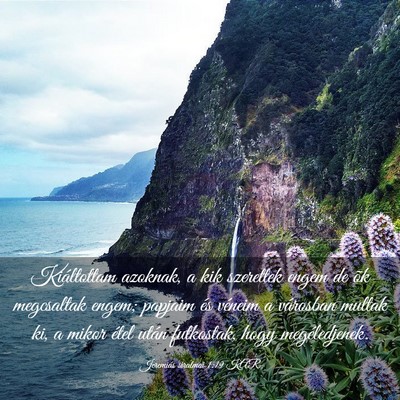 Picture 03 - Jeremiás siralmai 1:19 KAR - Kiáltottam azoknak, a kik szerettek engem de õk - Bible Verse Picture