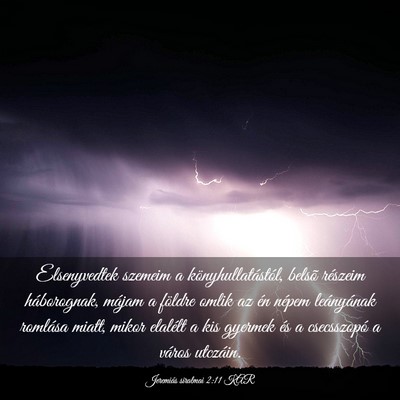 Picture 03 - Jeremiás siralmai 2:11 KAR - Elsenyvedtek szemeim a könyhullatástól, belsõ - Bible Verse Picture
