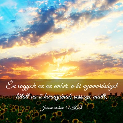 Picture 03 - Jeremiás siralmai 3:1 KAR - Én vagyok az az ember, a ki nyomorúságot - Bible Verse Picture