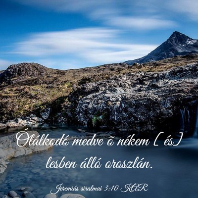 Picture 03 - Jeremiás siralmai 3:10 KAR - Ólálkodó medve õ nékem [és] lesben álló - Bible Verse Picture