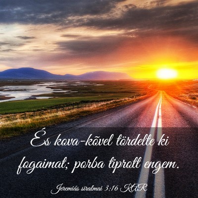 Picture 03 - Jeremiás siralmai 3:16 KAR - És kova-kõvel tördelte ki fogaimat; porba - Bible Verse Picture