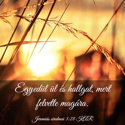 Picture 03 - Jeremiás siralmai 3:28 KAR - Egyedül ül és hallgat, mert felvette - Bible Verse Picture