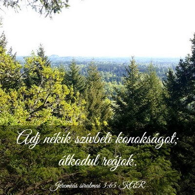 Picture 03 - Jeremiás siralmai 3:65 KAR - Adj nékik szívbeli konokságot; átkodul - Bible Verse Picture