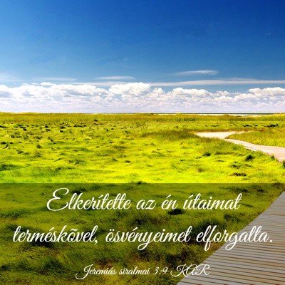 Picture 03 - Jeremiás siralmai 3:9 KAR - Elkerítette az én útaimat terméskõvel, - Bible Verse Picture