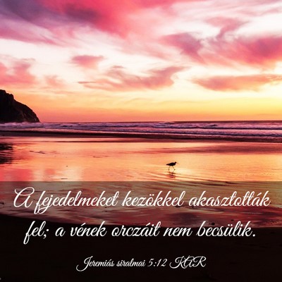 Picture 03 - Jeremiás siralmai 5:12 KAR - A fejedelmeket kezökkel akasztották fel; a - Bible Verse Picture
