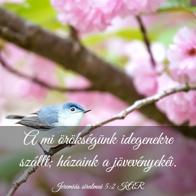 Picture 03 - Jeremiás siralmai 5:2 KAR - A mi örökségünk idegenekre szállt; házaink - Bible Verse Picture