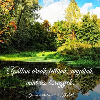 Picture 03 - Jeremiás siralmai 5:3 KAR - Apátlan árvák lettünk; anyáink, mint az - Bible Verse Picture