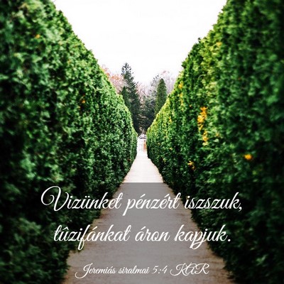 Picture 03 - Jeremiás siralmai 5:4 KAR - Vizünket pénzért iszszuk, tûzifánkat áron - Bible Verse Picture