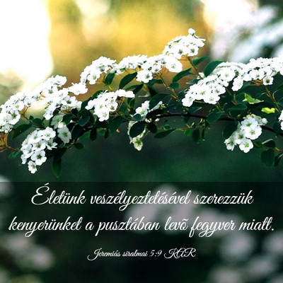 Picture 03 - Jeremiás siralmai 5:9 KAR - Életünk veszélyeztetésével szerezzük - Bible Verse Picture