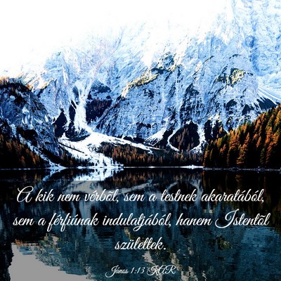Picture 03 - János 1:13 KAR - A kik nem vérbõl, sem a testnek akaratából, - Bible Verse Picture