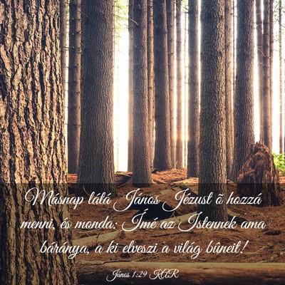 Picture 03 - János 1:29 KAR - Másnap látá János Jézust õ hozzá menni, - Bible Verse Picture