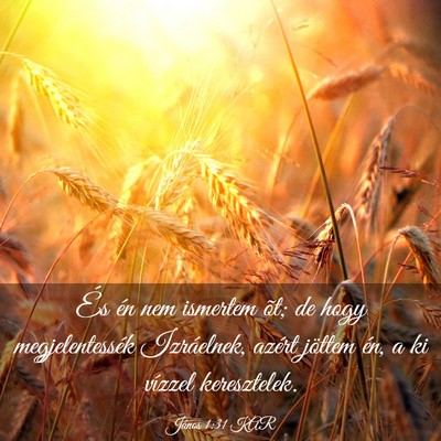 Picture 03 - János 1:31 KAR - És én nem ismertem õt; de hogy megjelentessék - Bible Verse Picture