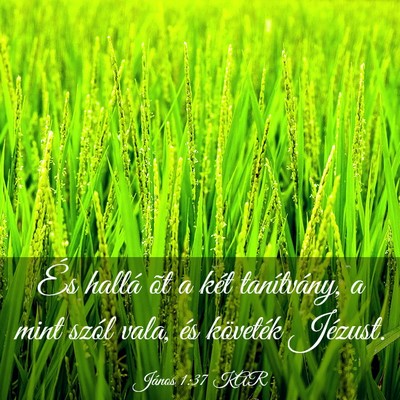 Picture 03 - János 1:37 KAR - És hallá õt a két tanítvány, a mint szól - Bible Verse Picture