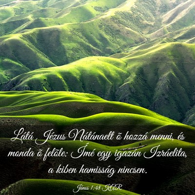 Picture 03 - János 1:48 KAR - Látá Jézus Nátánaelt õ hozzá menni, és - Bible Verse Picture