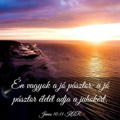Picture 03 - János 10:11 KAR - Én vagyok a jó pásztor: a jó pásztor - Bible Verse Picture