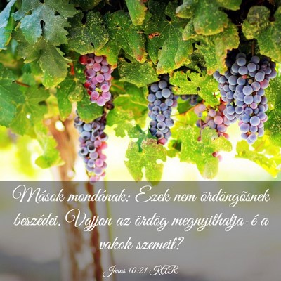 Picture 03 - János 10:21 KAR - Mások mondának: Ezek nem ördöngõsnek - Bible Verse Picture