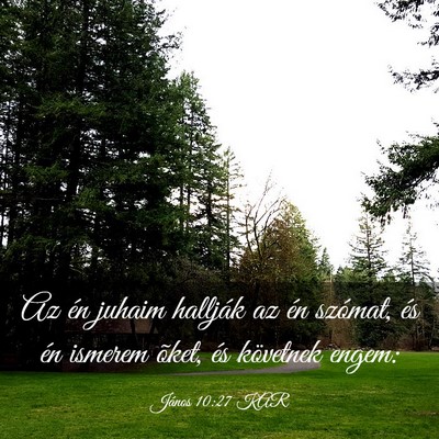 Picture 03 - János 10:27 KAR - Az én juhaim hallják az én szómat, és én - Bible Verse Picture