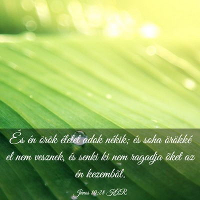 Picture 03 - János 10:28 KAR - És én örök életet adok nékik; és soha - Bible Verse Picture