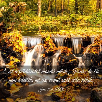 Picture 03 - János 10:6 KAR - Ezt a példázatot mondá nékik Jézus; de õk - Bible Verse Picture