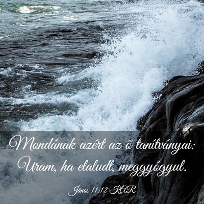 Picture 03 - János 11:12 KAR - Mondának azért az õ tanítványai: Uram, ha - Bible Verse Picture