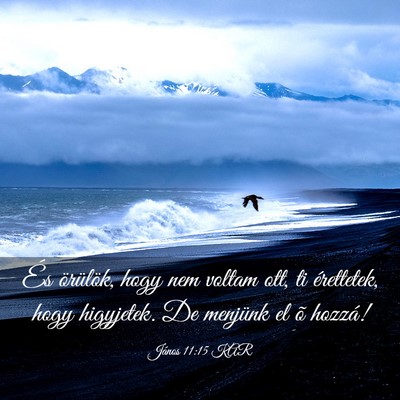 Picture 03 - János 11:15 KAR - És örülök, hogy nem voltam ott, ti - Bible Verse Picture